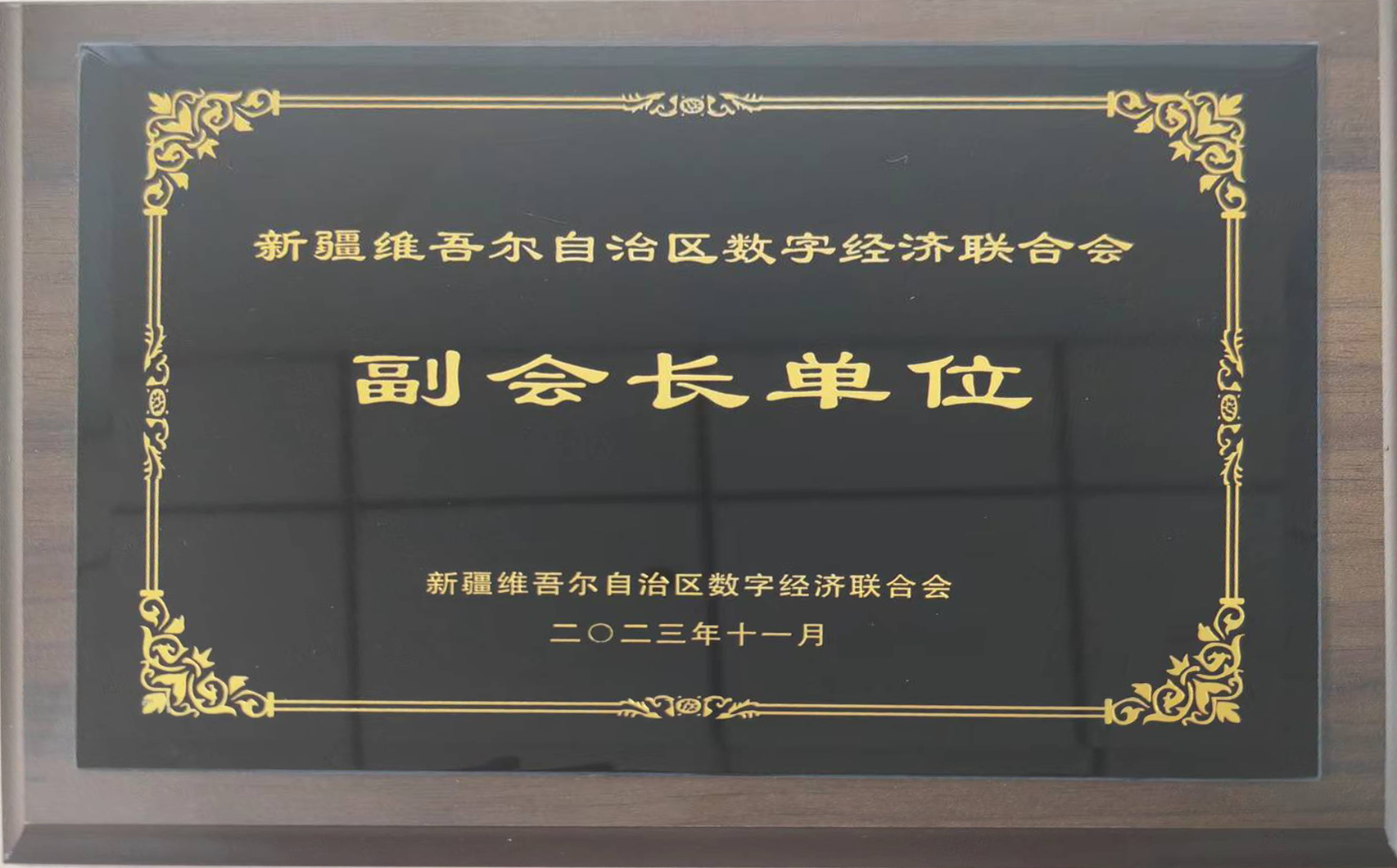 йyl23411()Ź-Officialwebsite